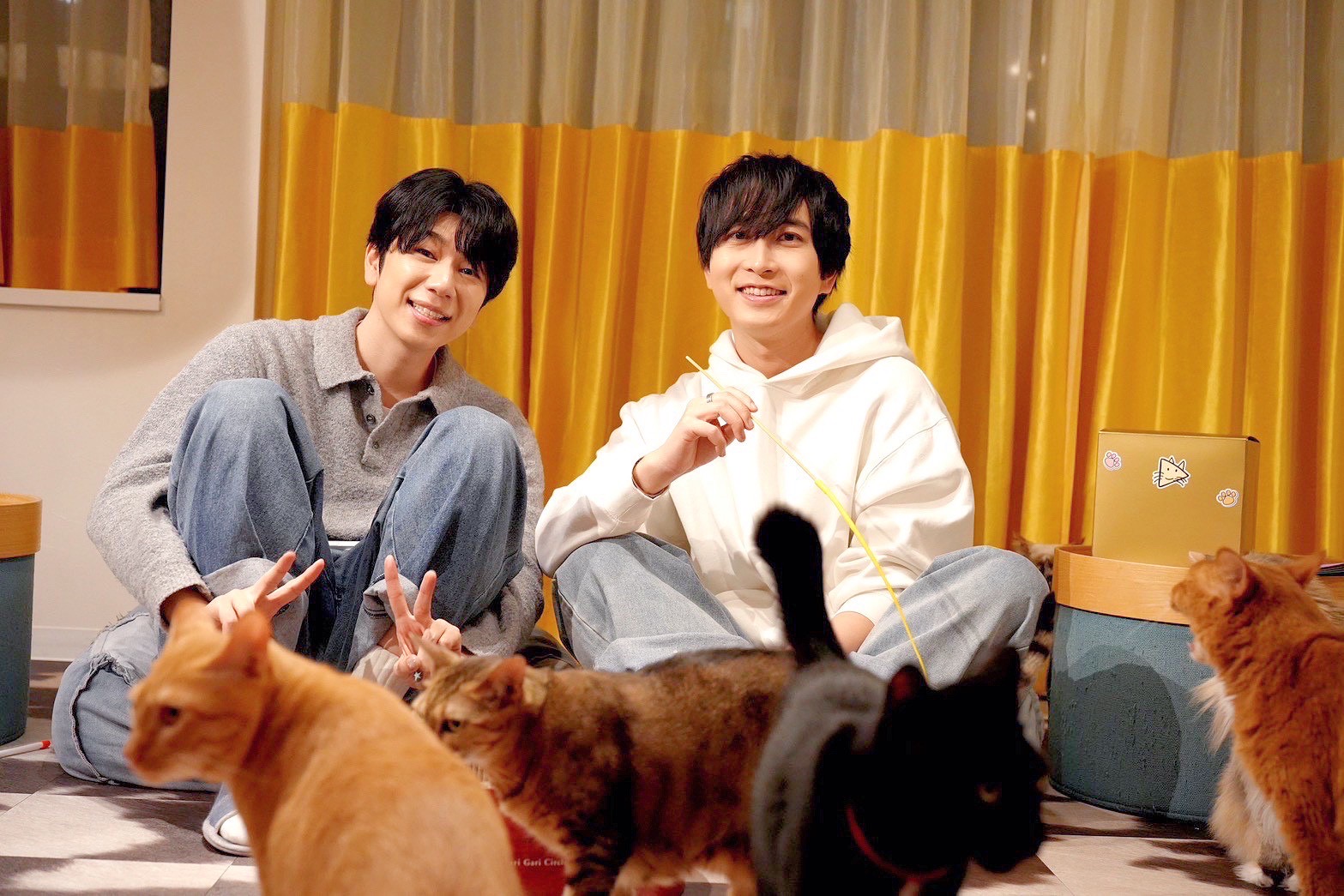 声優・中島ヨシキ＆西山宏太朗、猫だけのライブ配信アプリ「nekochan